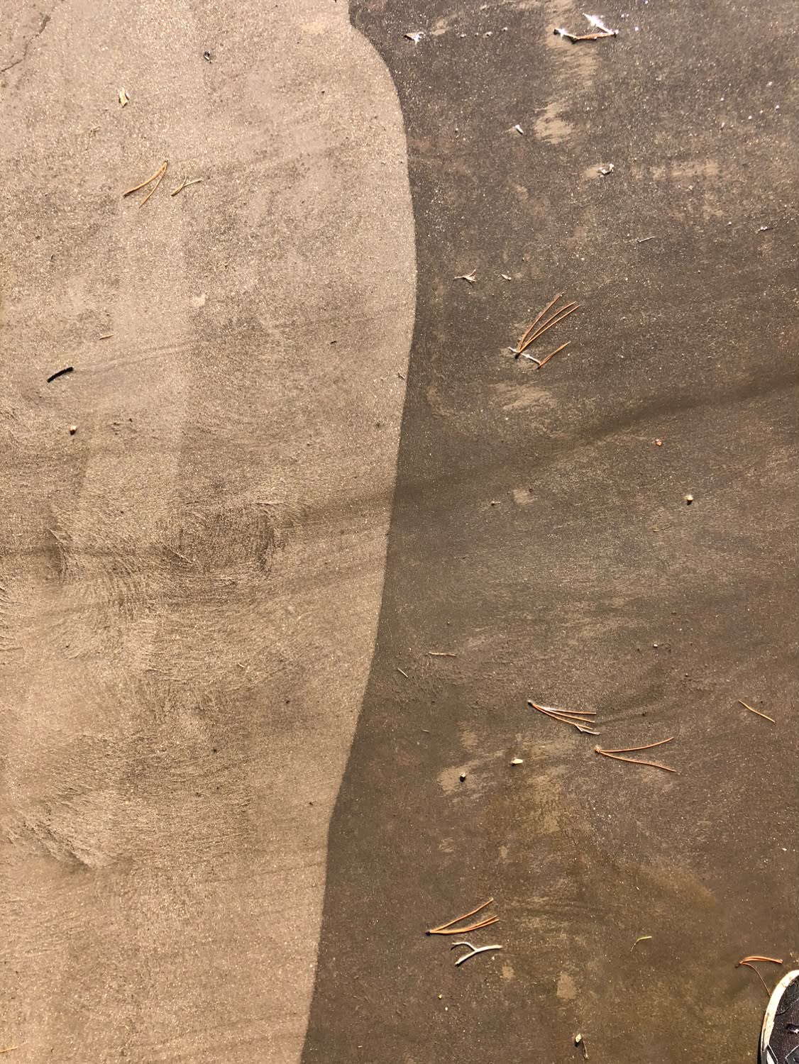 Split shot showing cleaned versus uncleaned concrete surface