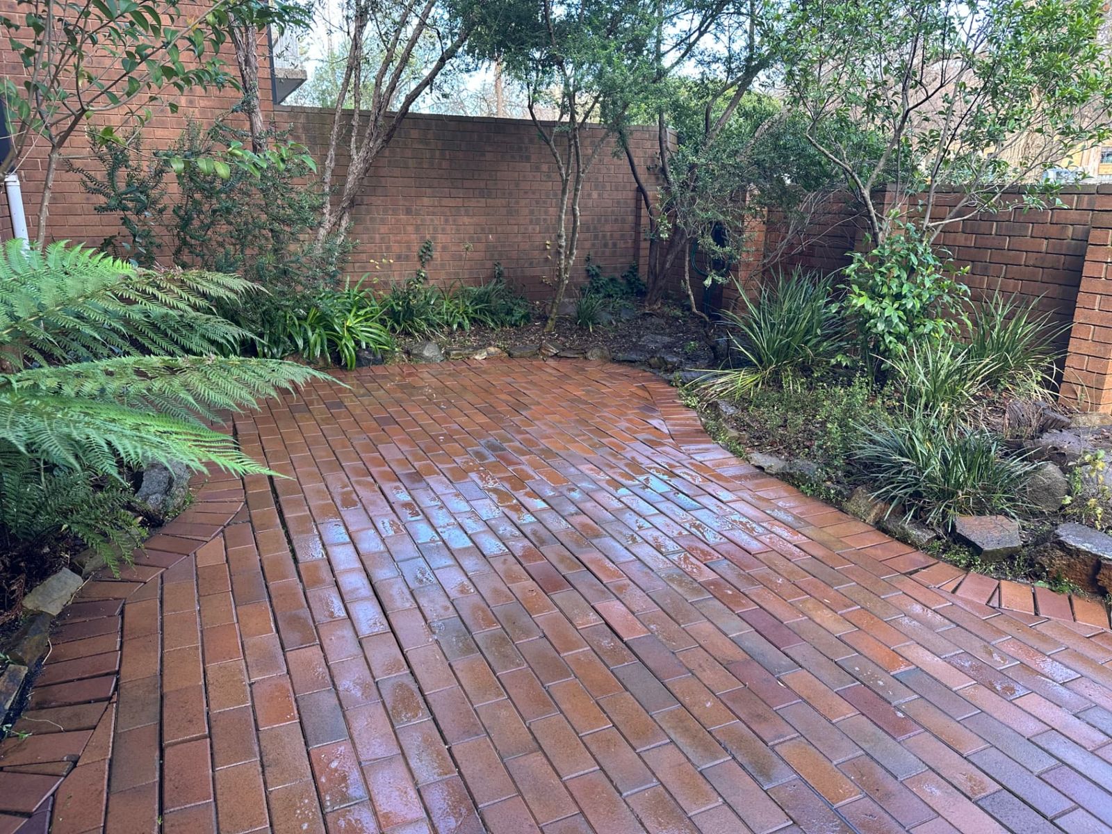 Clay brick patio courtyard in Canberra after pressure cleaning