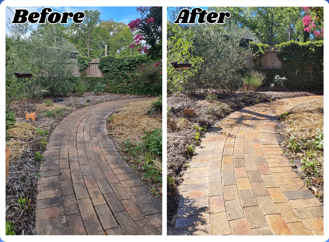 Brick paver path pressure cleaned and re-sanded
