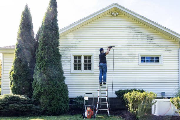 Technician soft washing painted weatherboard house panels